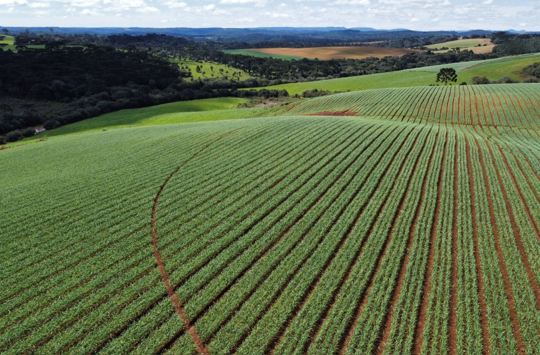 Previsão Climática para a Próxima Safra
